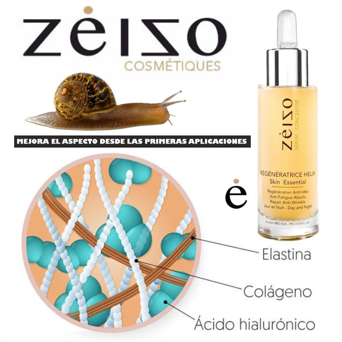 Suero Antiedad Efecto Fhas Helix Aspersa Zeizo 30 ml - Imagen 4